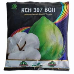 Dried KCH 307 Hybrid Cotton Seeds