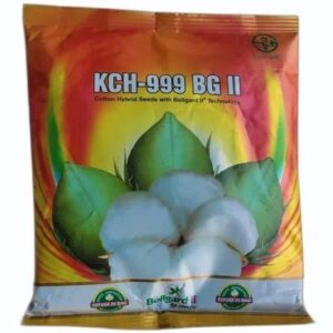 Dried White KCH 999 Cotton Hybrid Seeds